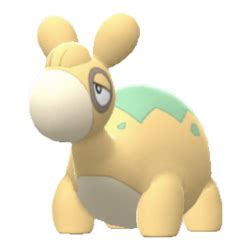 numel evolution|numel serebii.